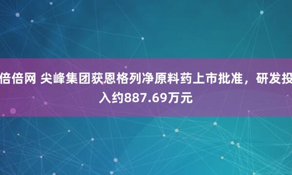 倍倍网 尖峰集团获恩格列净原料药上市批准，研发投入约887.69万元