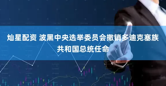 灿星配资 波黑中央选举委员会撤销多迪克塞族共和国总统任命